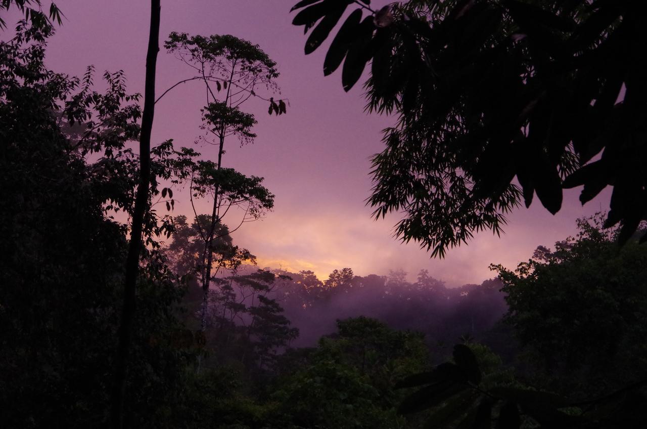 Amazonita Ecolodge Dos Brazos Kültér fotó