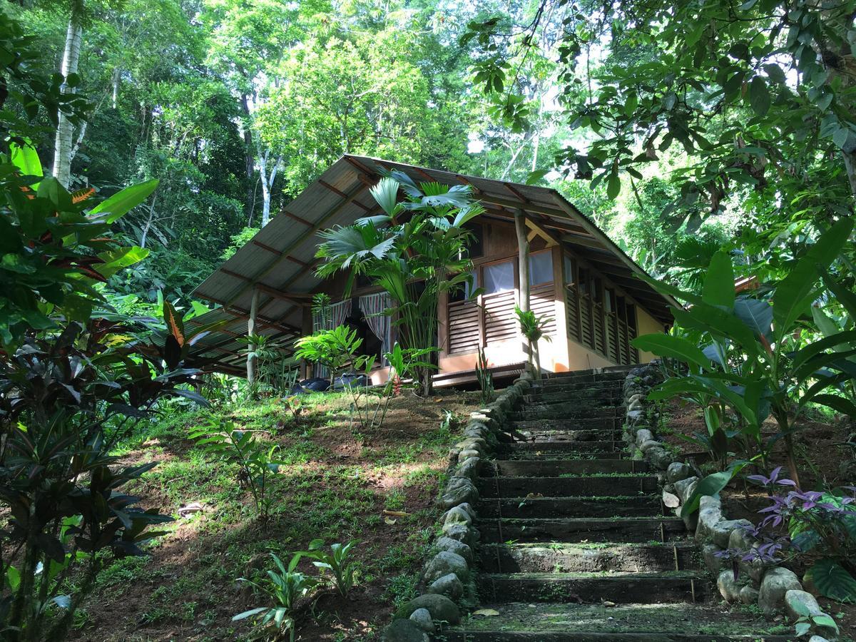 Amazonita Ecolodge Dos Brazos Kültér fotó