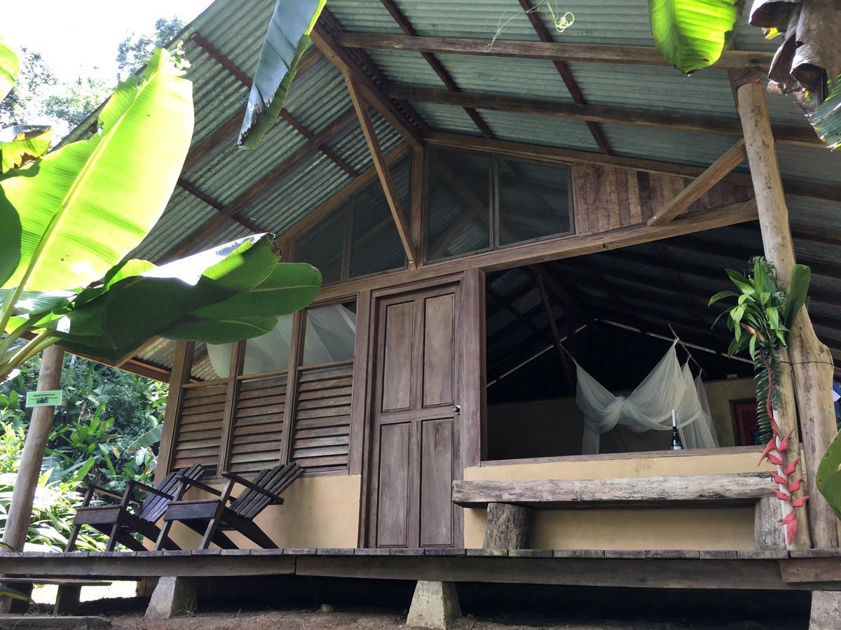 Amazonita Ecolodge Dos Brazos Kültér fotó