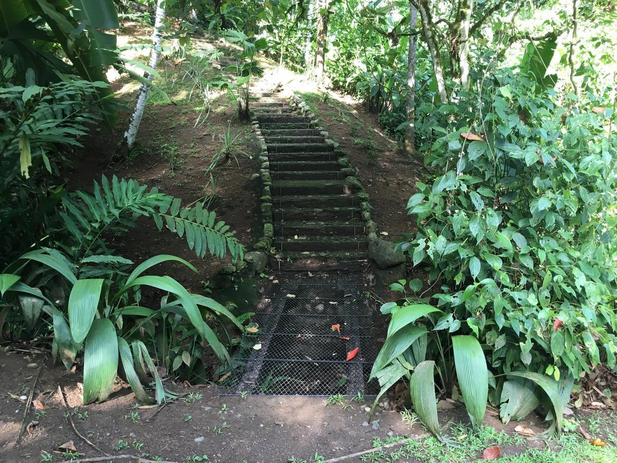 Amazonita Ecolodge Dos Brazos Kültér fotó