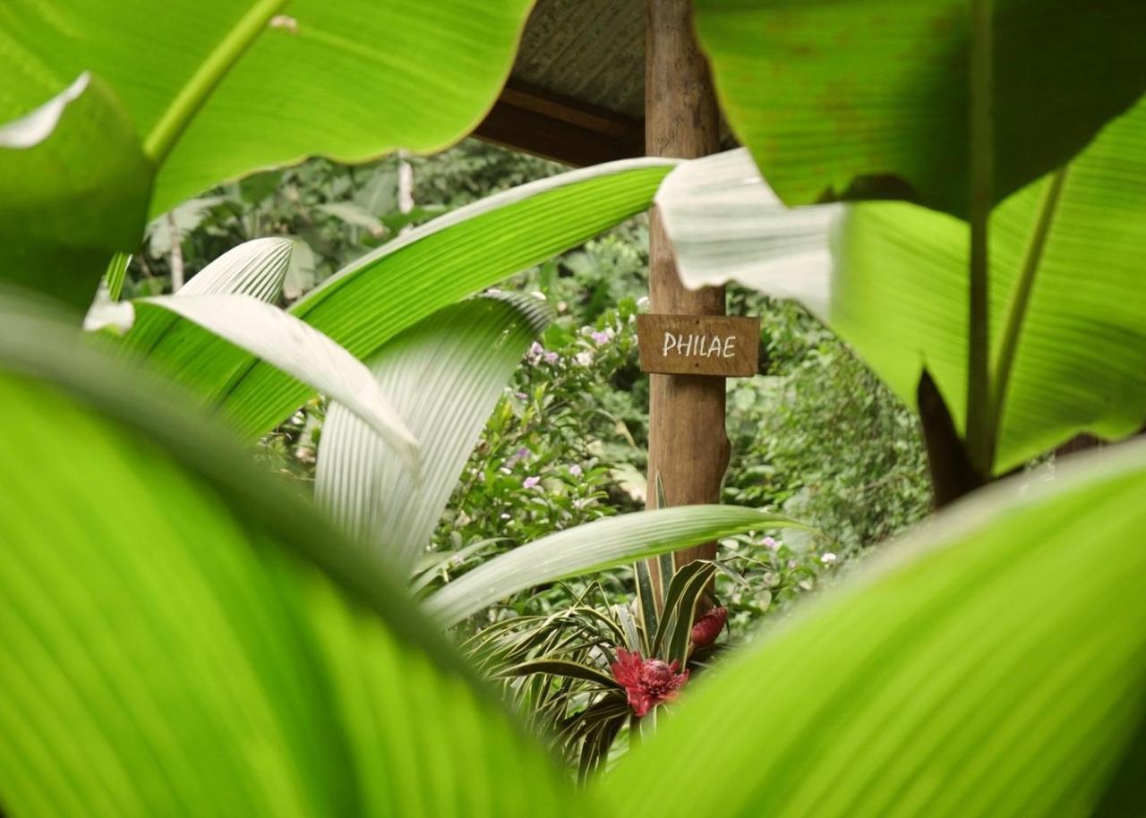 Amazonita Ecolodge Dos Brazos Kültér fotó