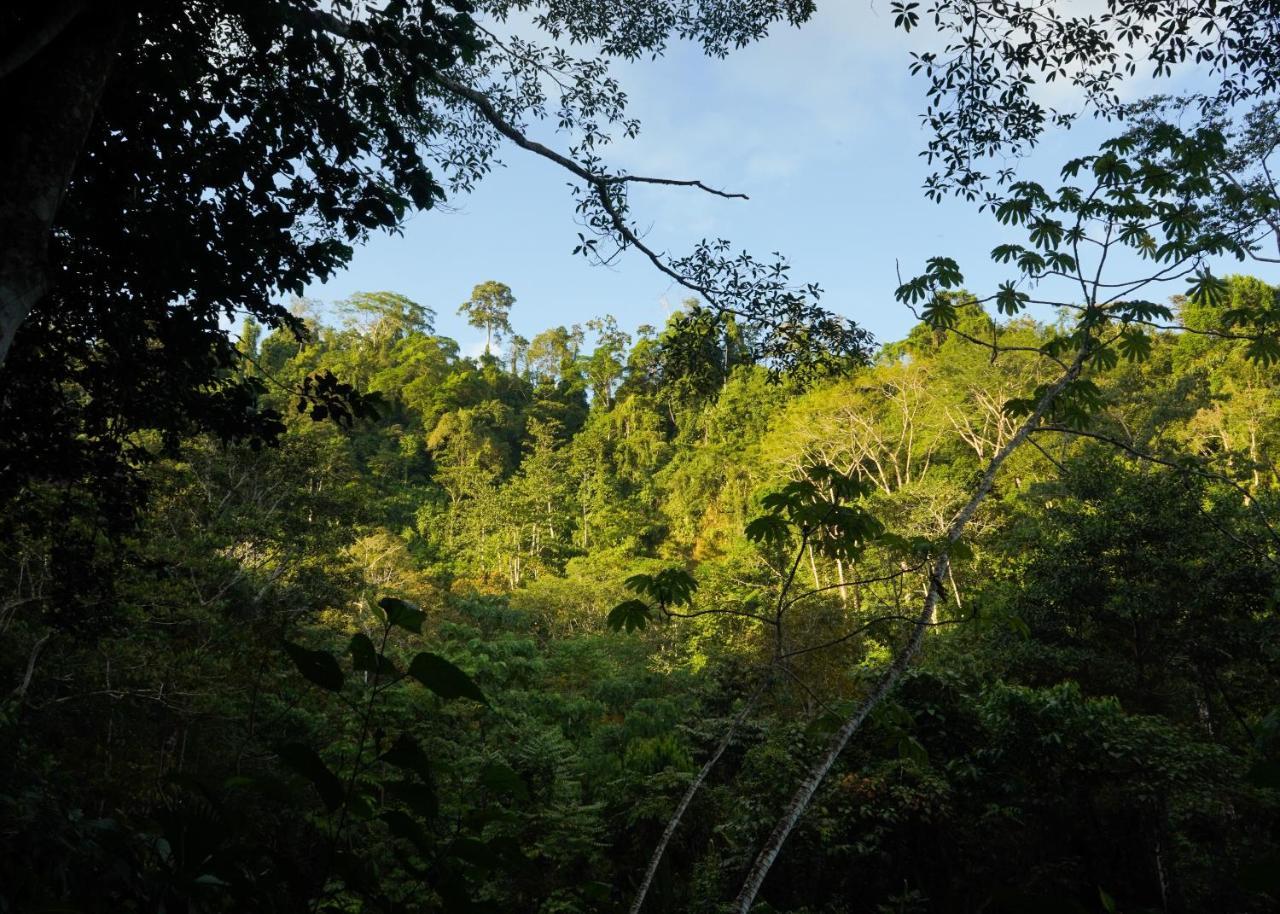 Amazonita Ecolodge Dos Brazos Kültér fotó