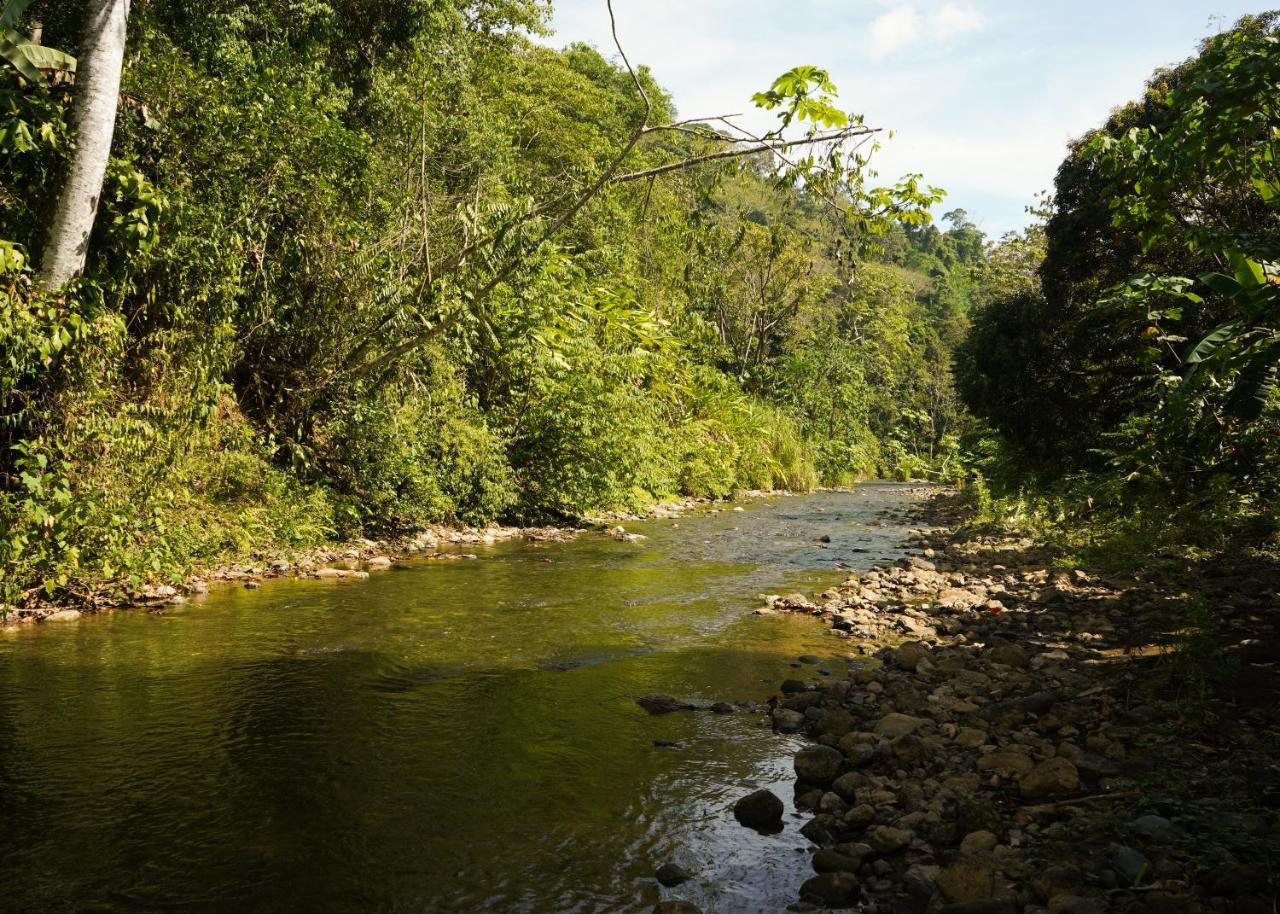 Amazonita Ecolodge Dos Brazos Kültér fotó